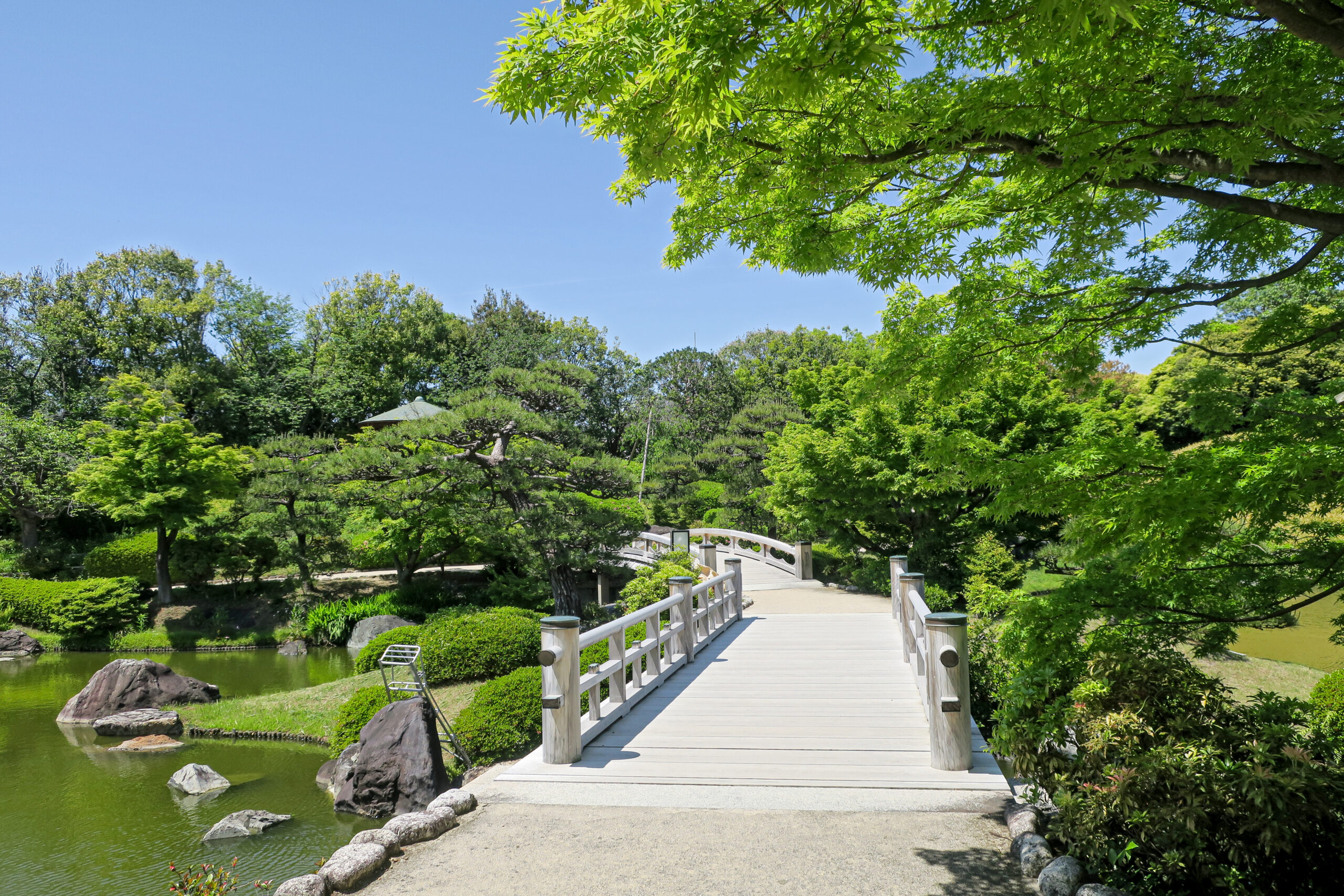 現場の様子